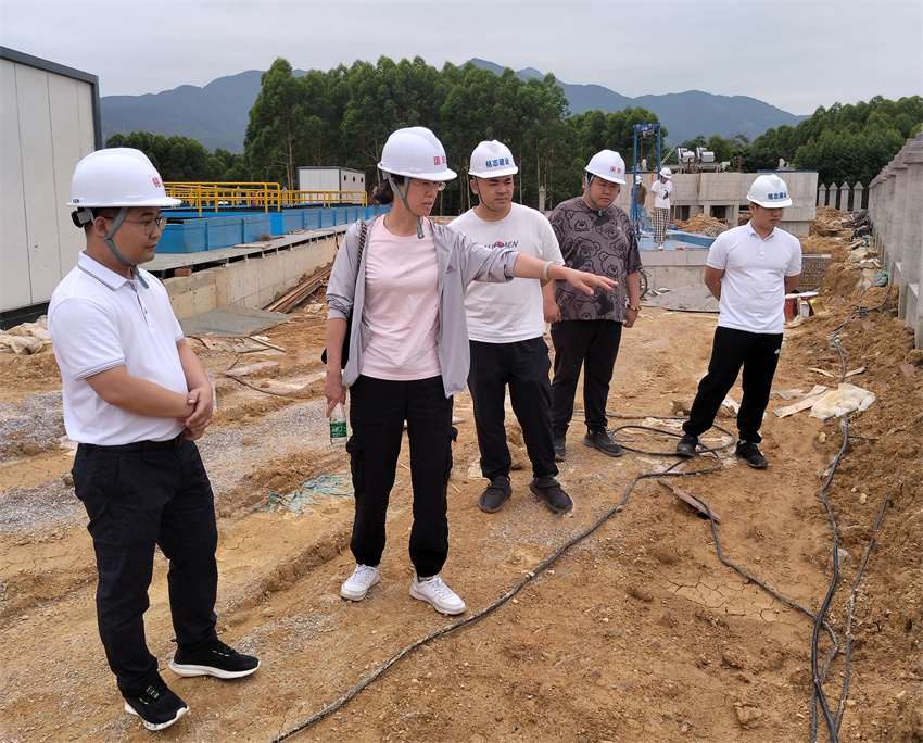 ���Ź�˾��ί���ŷΰ�ᵽ����ҵ��չ����